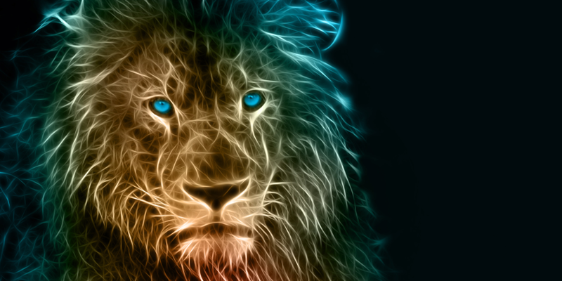 lion