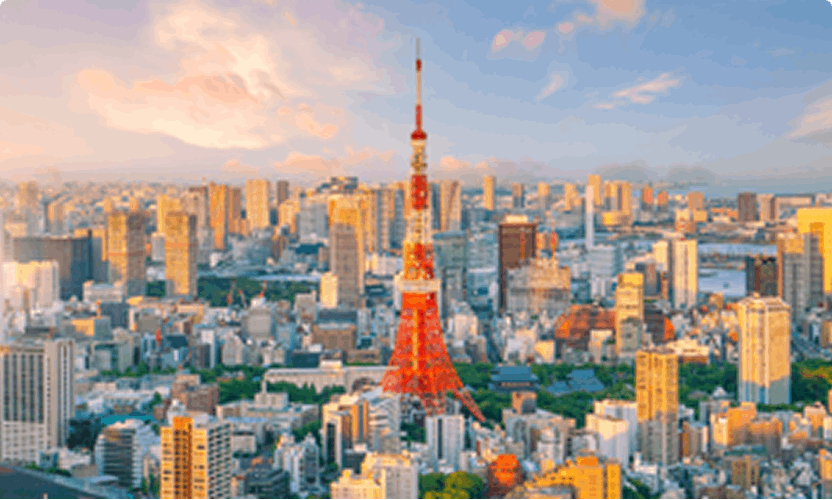 Arial view of Tokyo