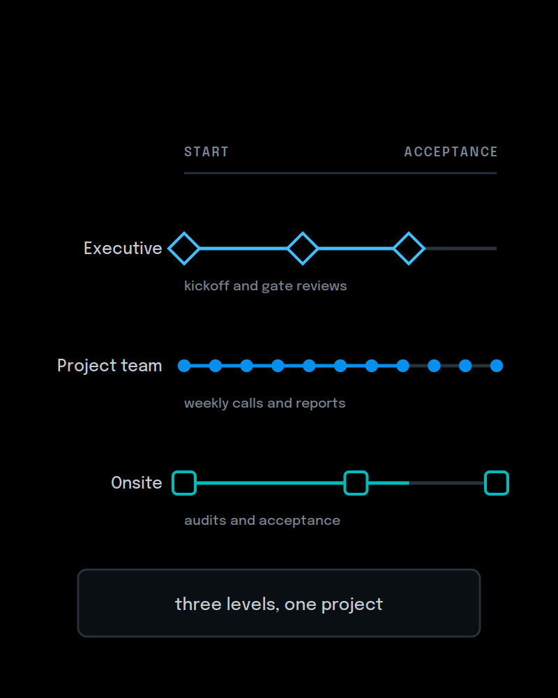 project-assurance